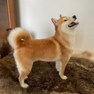 Full Body Figurine